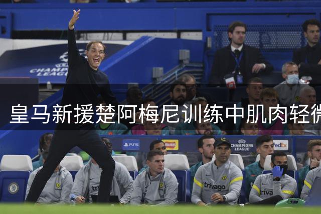 皇马新援楚阿梅尼训练中肌肉轻微拉伤 将暂时缺席合练